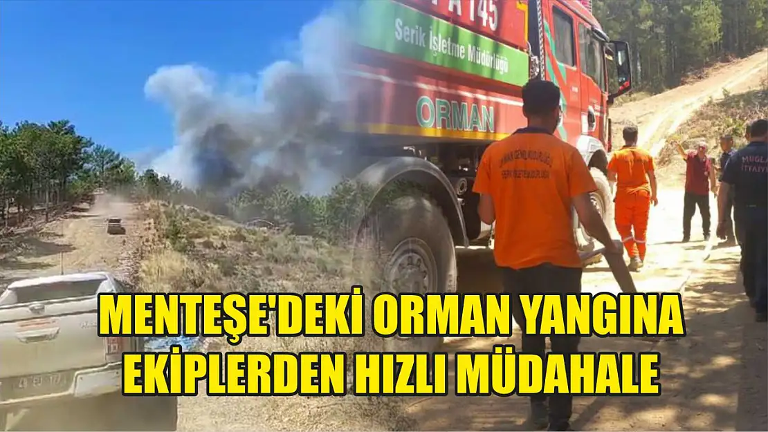 Menteşe'deki orman yangına ekiplerden hızlı müdahale