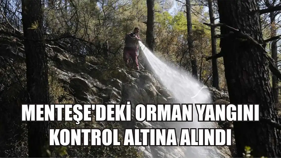 Menteşe'deki orman yangını kontrol altına alındı