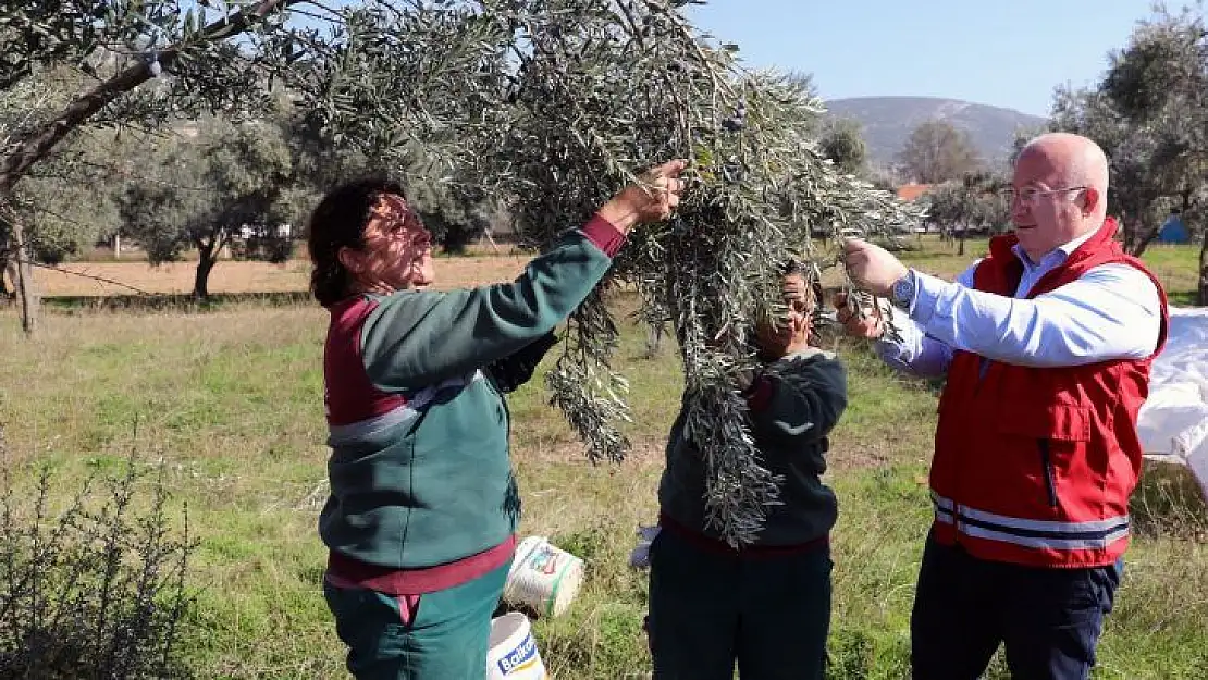 Menteşe'nin Yeni Yıl Ajandasında Tarımsal Üretim Var