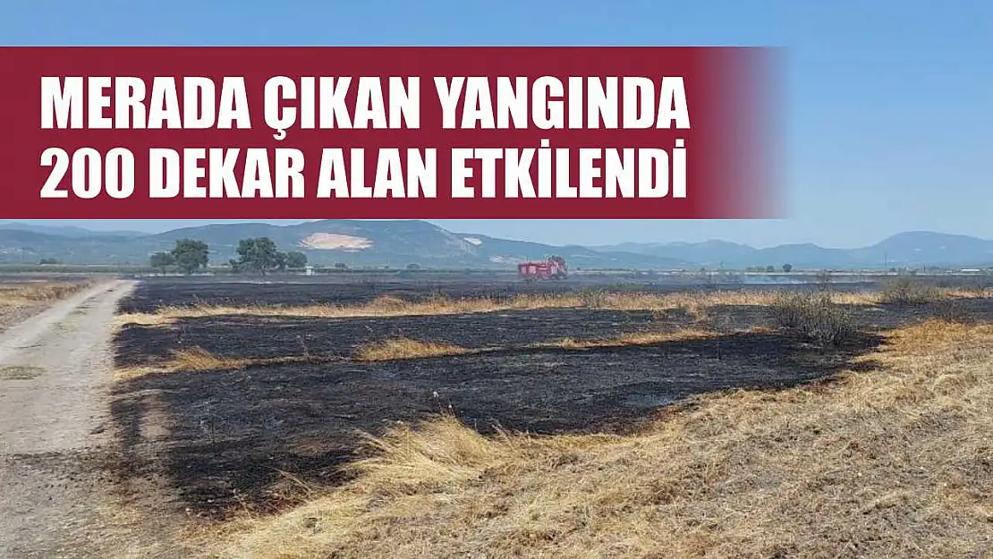 Merada çıkan yangında 200 dekar alan etkilendi