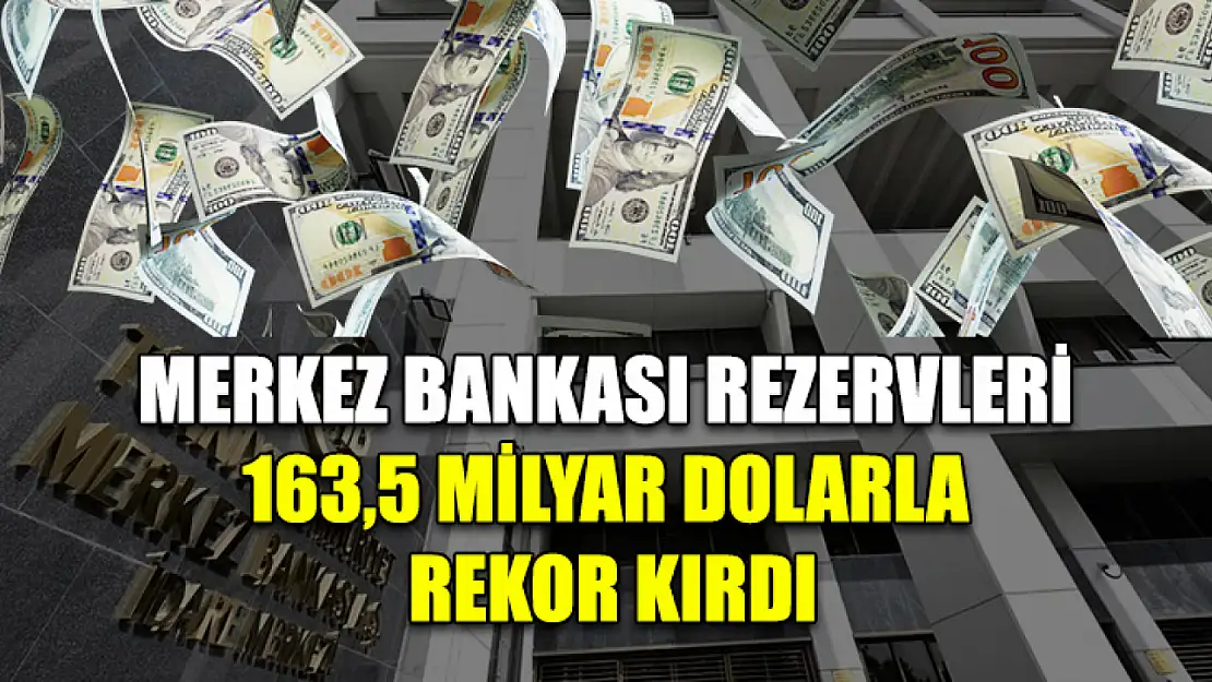 Merkez Bankası rezervleri 163,5 milyar dolarla rekor kırdı