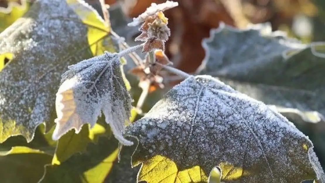 Meteorolojiden don uyarısı!