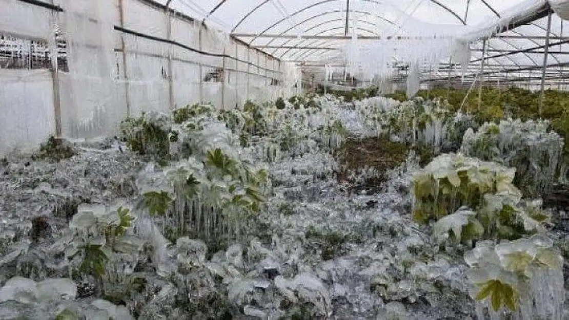 Meteorolojiden zirai don uyarısı!