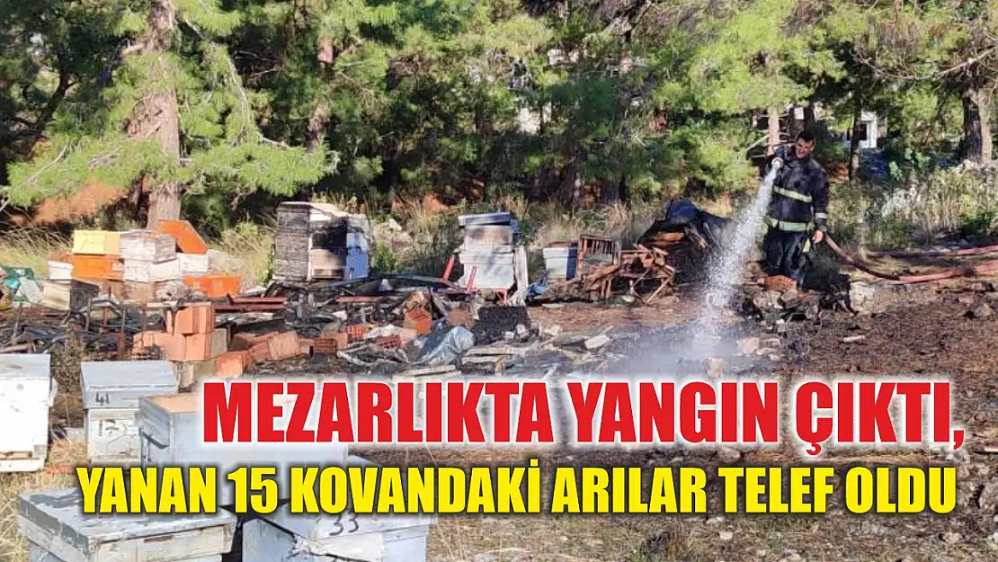 Mezarlıkta yangın çıktı, yanan 15 kovandaki arılar telef oldu