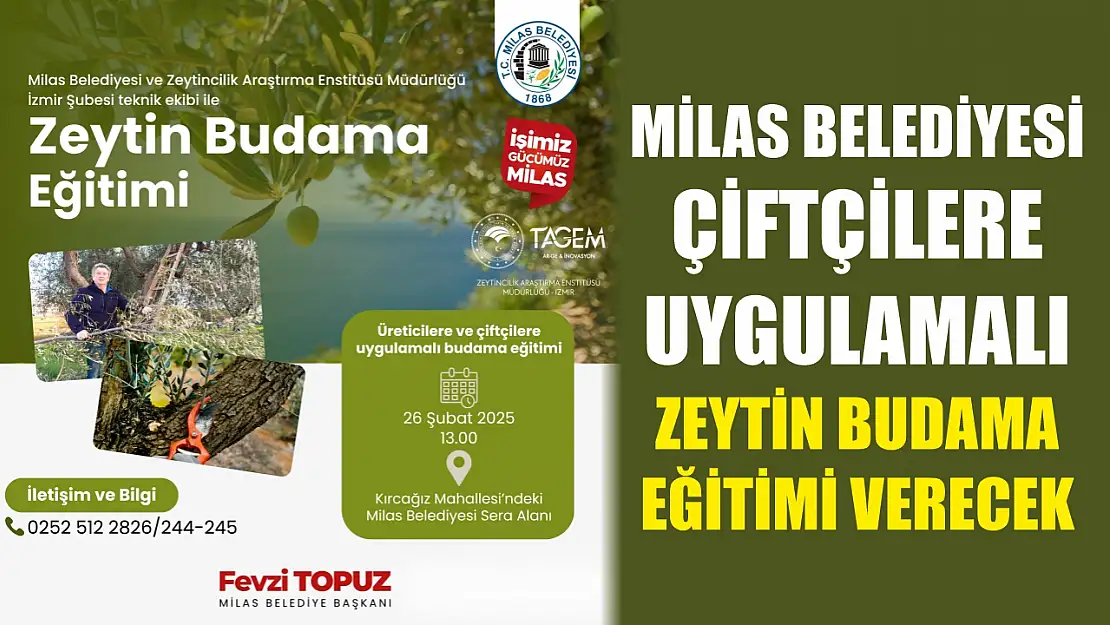 Milas Belediyesi Çiftçilere Uygulamalı Zeytin Budama Eğitimi Verecek