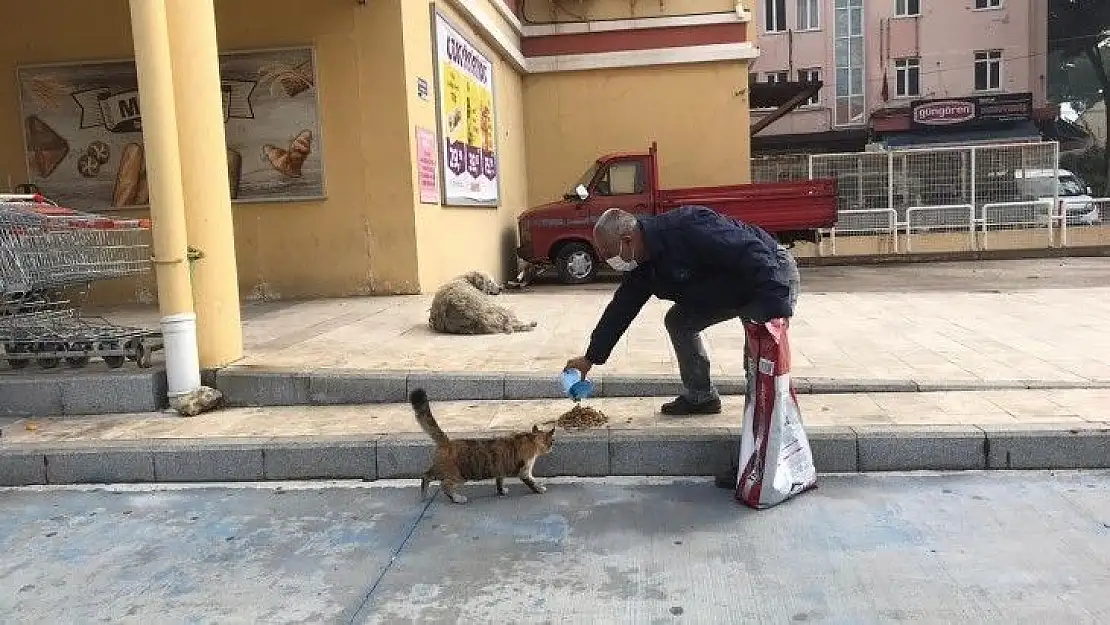 Milas Belediyesi minik dostlarımızın yanında