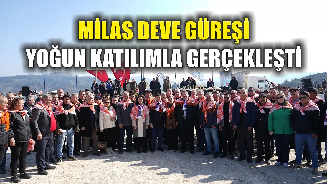 Milas Deve Güreşi yoğun katılımla gerçekleşti