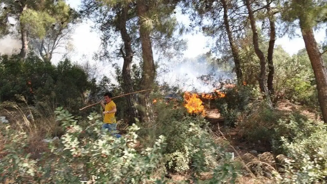 Milas'ta aynı noktayı aynı gün 6 kez yaktılar