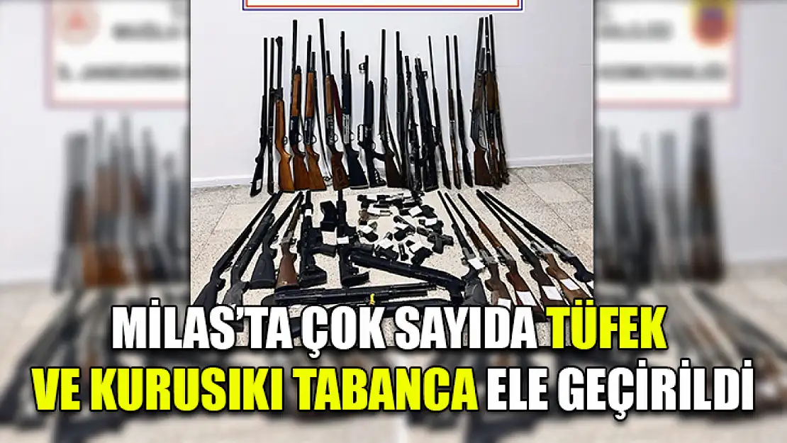 Milas'ta çok sayıda tüfek ve kurusıkı tabanca ele geçirildi