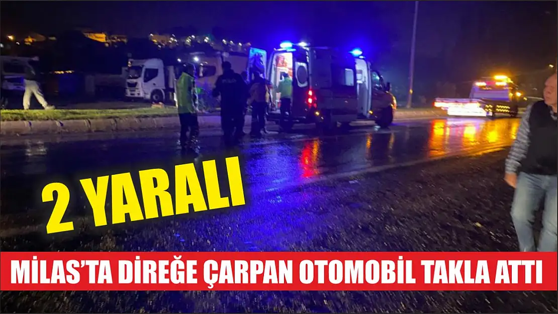 Milas'ta direğe çarpan otomobil takla attı: 2 yaralı