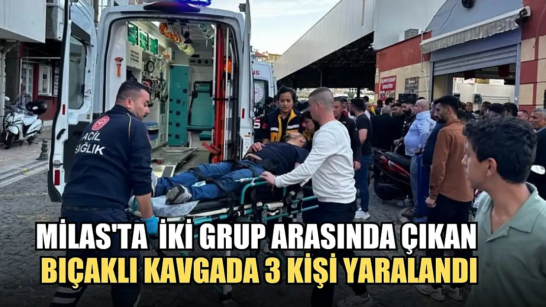 Milas'ta  iki grup arasında çıkan bıçaklı kavgada 3 kişi yaralandı