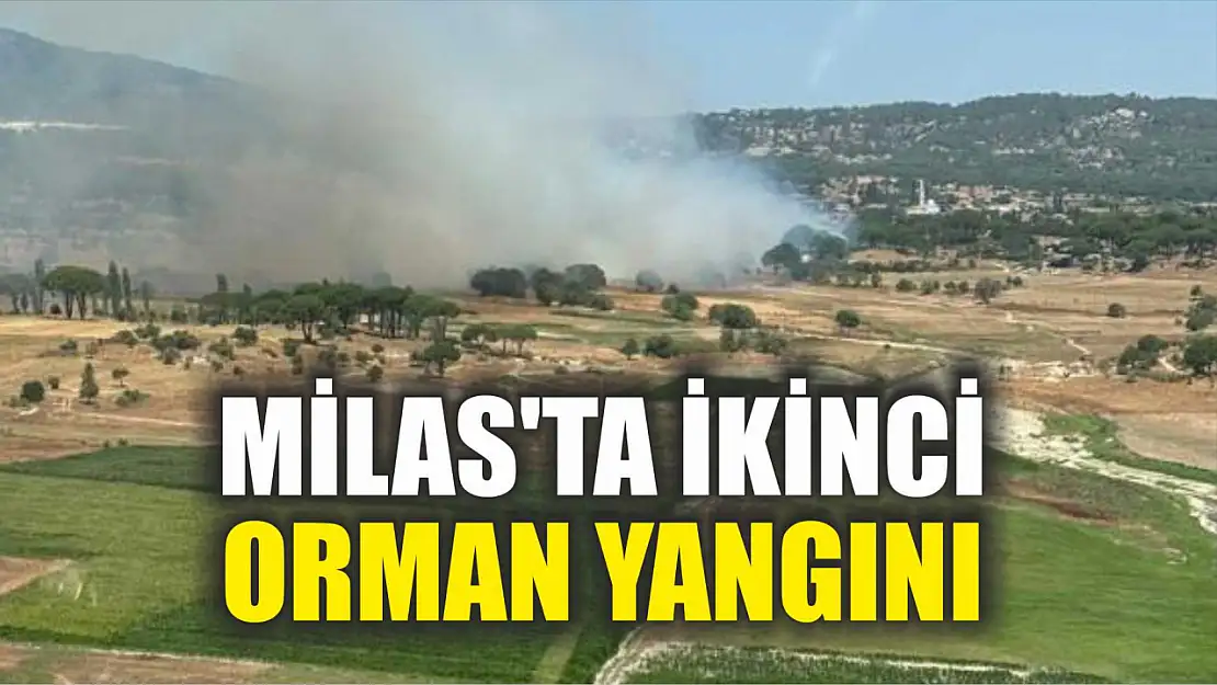 Milas'ta ikinci orman yangını