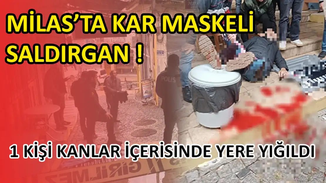 Milas'ta Kar Maskeli Saldırgan! Bir Kişi Kanlar İçerisinde Yere Yığıldı