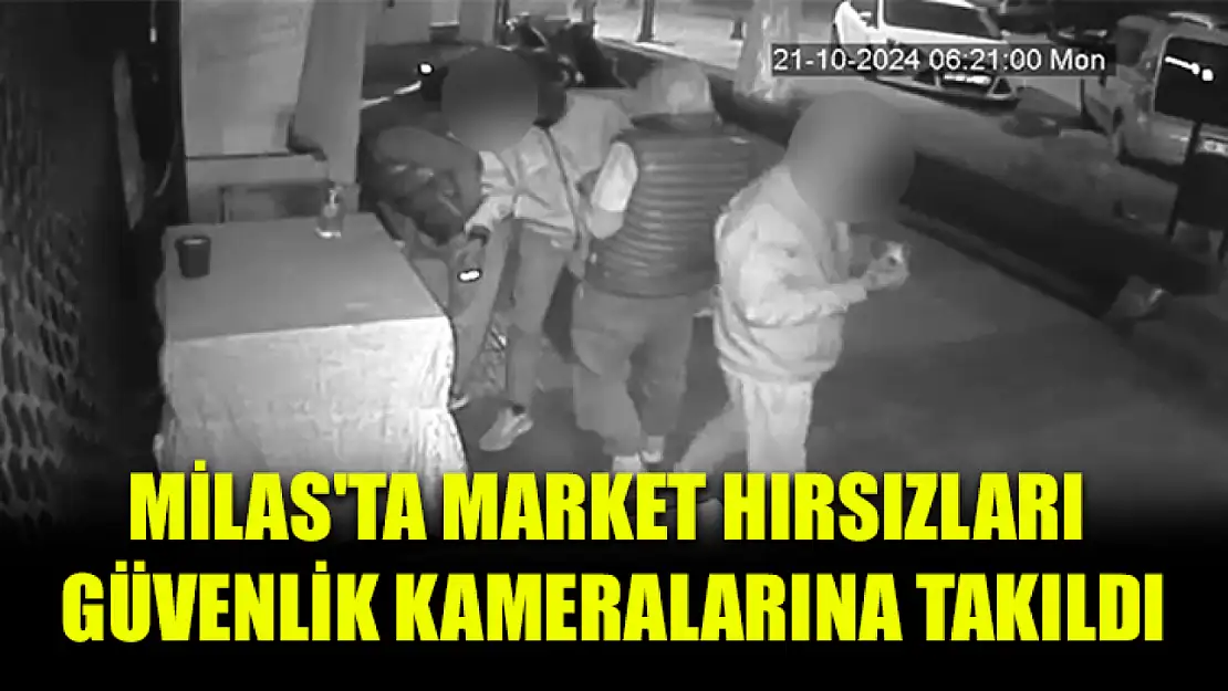 Milas'ta market hırsızları güvenlik kameralarına takıldı