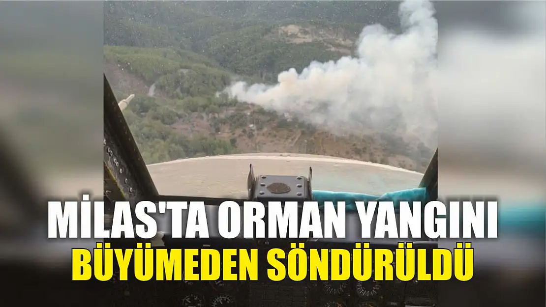 Milas'ta orman yangını büyümeden söndürüldü