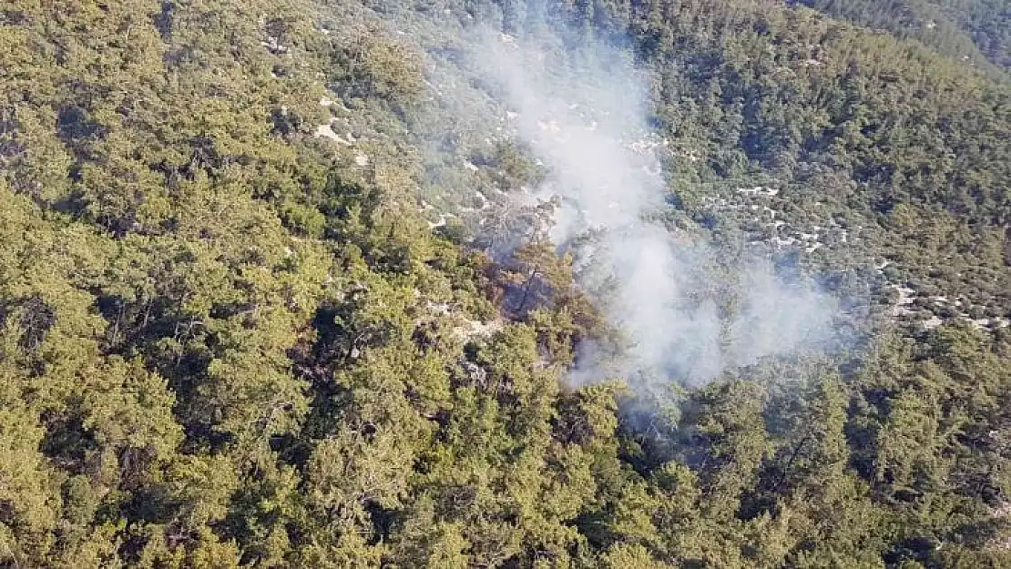 Milas'ta orman yangını