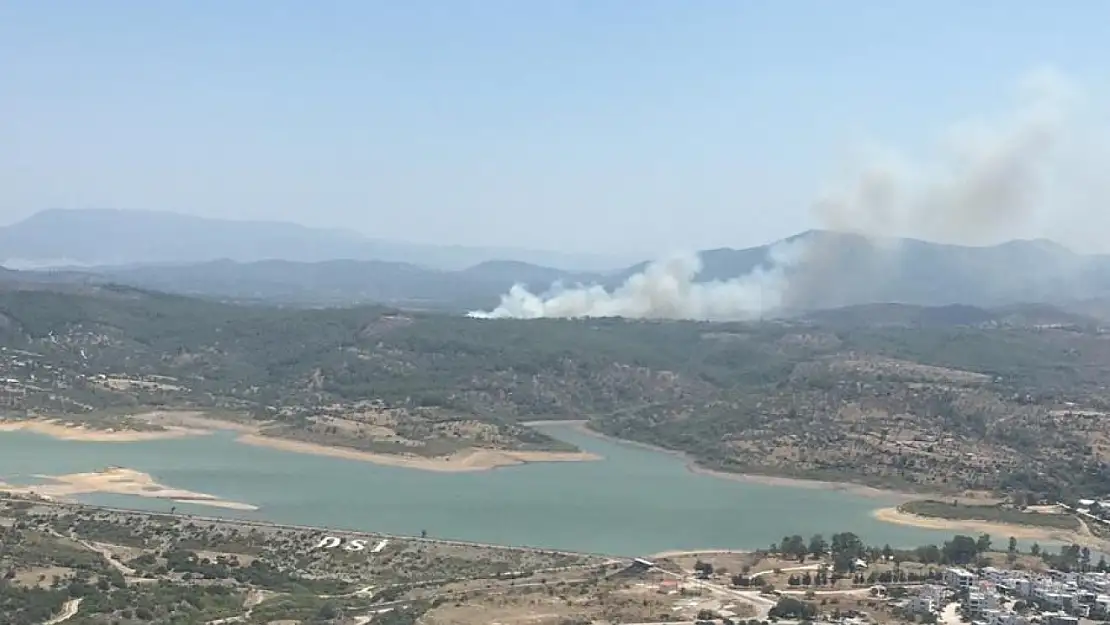 Milas'ta orman yangını