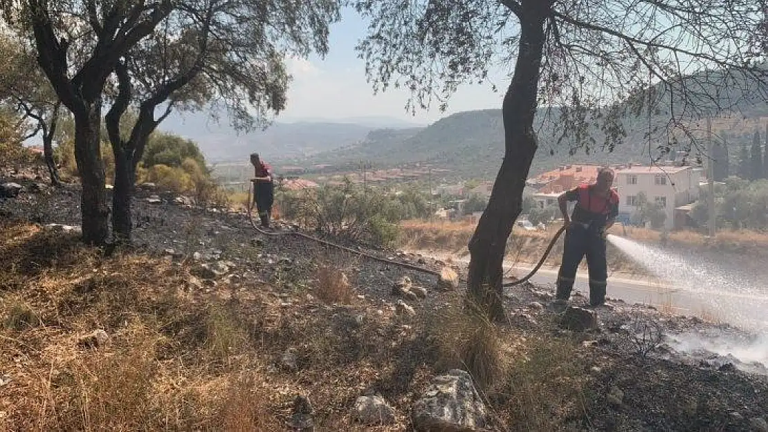 Milas'ta otluk yangını söndü, Güvercinlikte orman yangını başladı