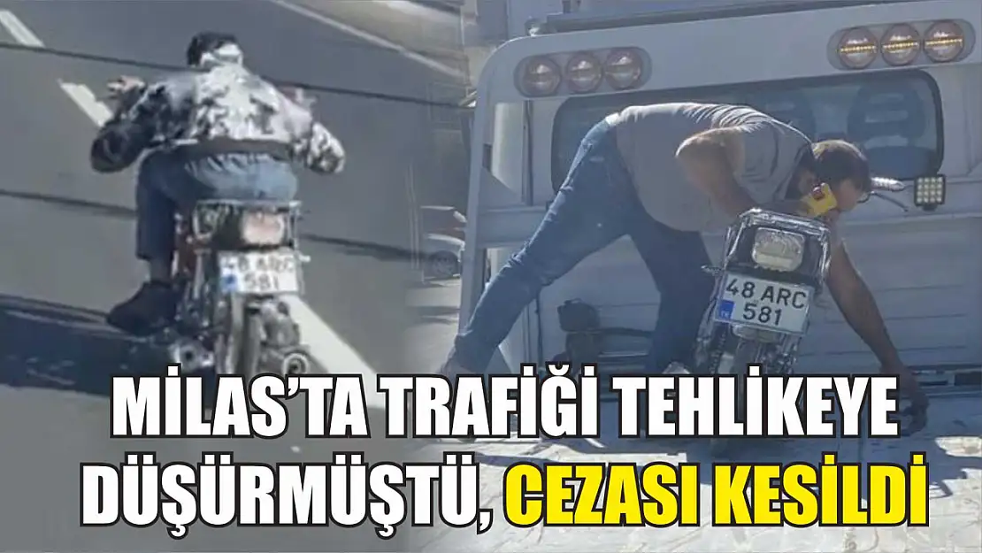 Milas'ta trafiği tehlikeye düşürmüştü, cezası kesildi