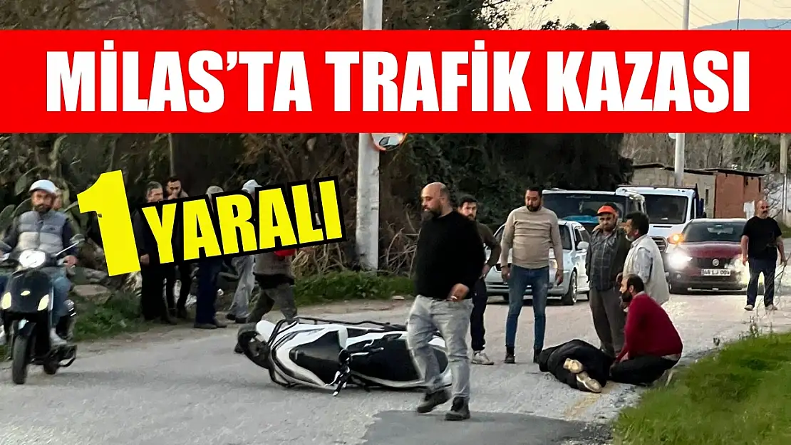 Milas'ta trafik kazası: 1 yaralı