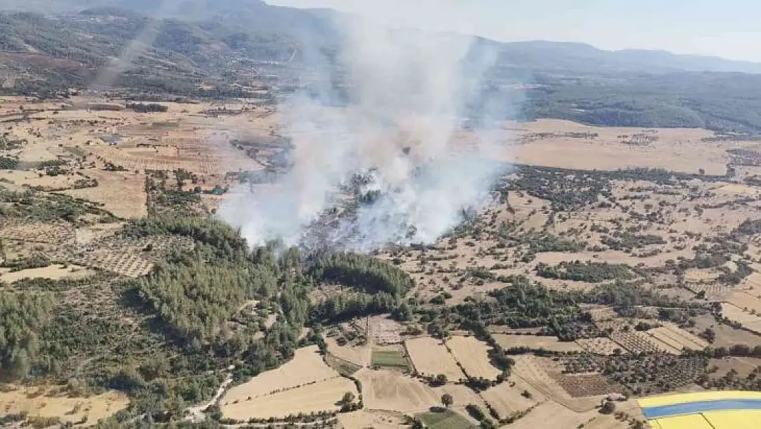 Milas'ta yangına havadan ve karadan müdahale devam ediyor