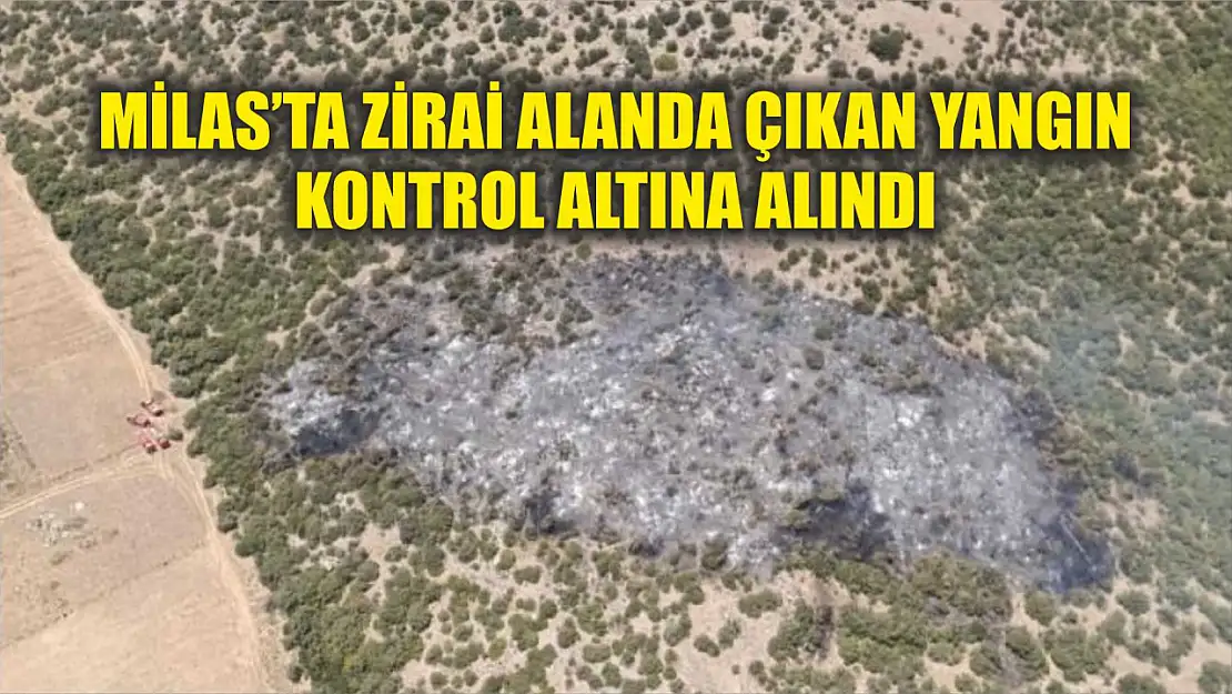 Milas'ta zirai alanda çıkan yangın kontrol altına alındı