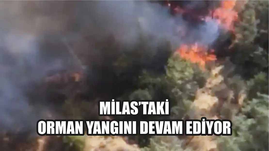 Milas'taki orman yangını devam ediyor