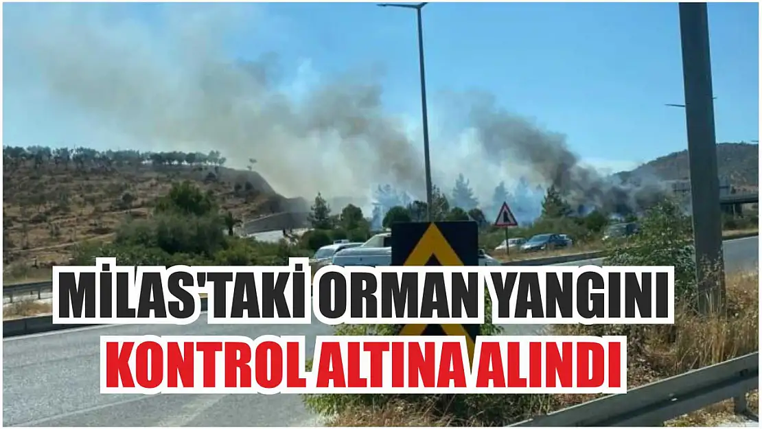 Milas'taki orman yangını kontrol altına alındı