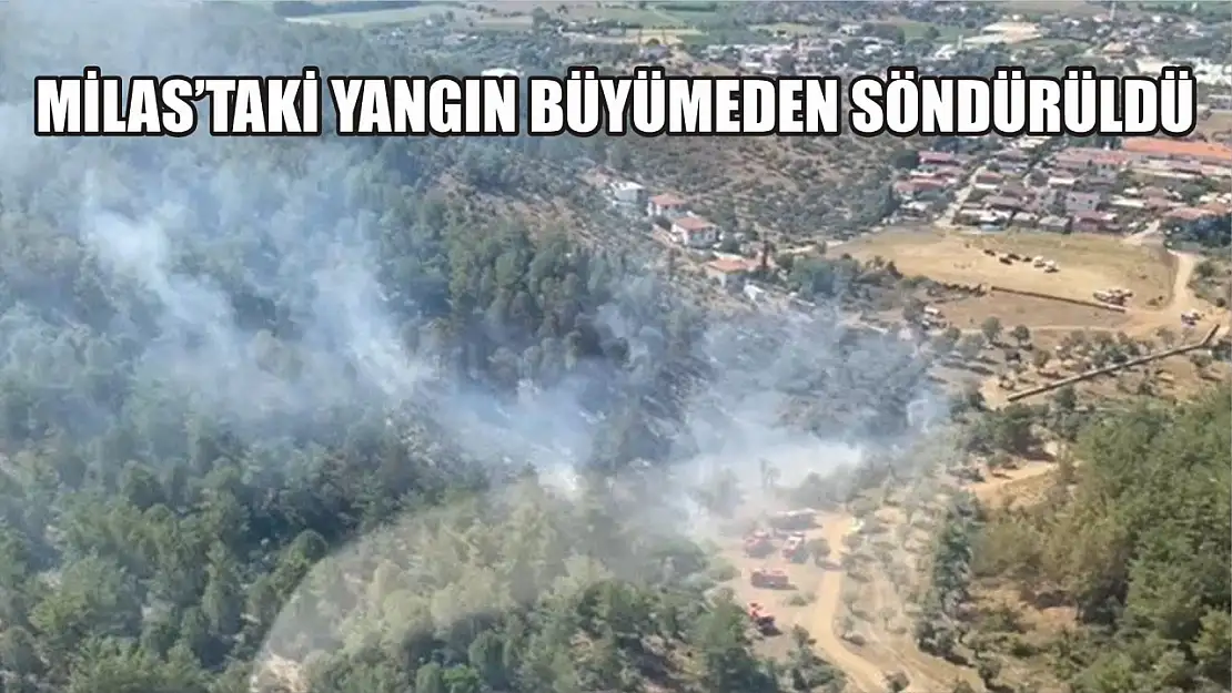 Milas'taki yangın büyümeden söndürüldü