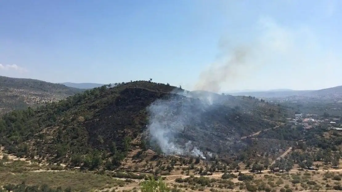 Milas'taki yangın, hızlı müdahale ile kontrol altına alındı