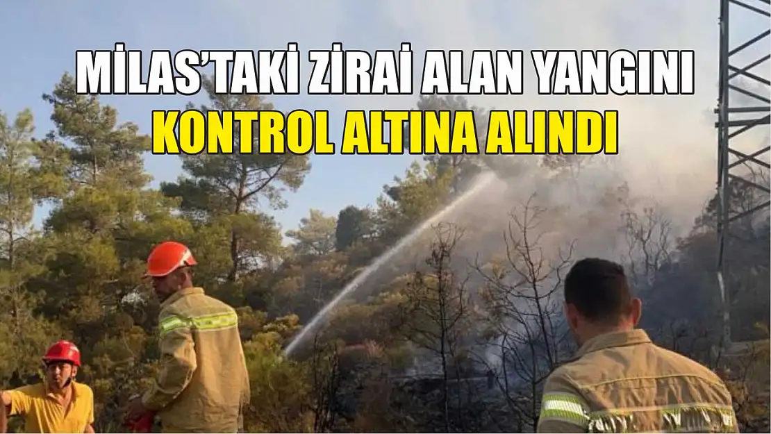 Milas'taki zirai alan yangını kontrol altına alındı