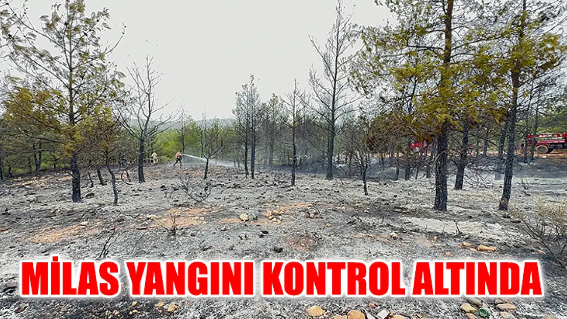 Milas Yangını Kontrol Altında