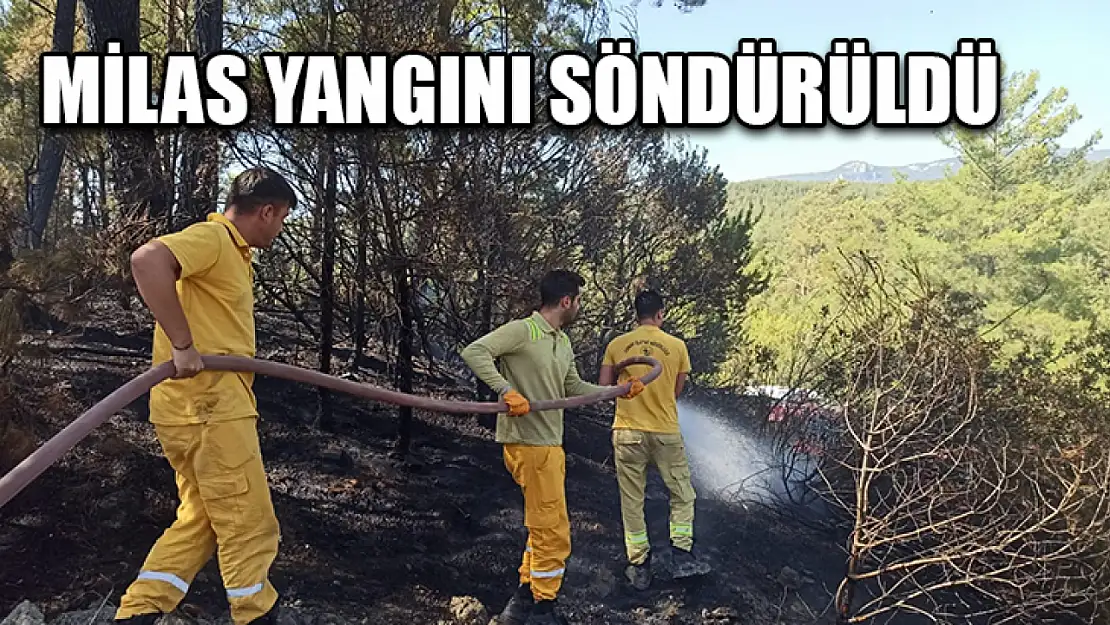 Milas Yangını Söndürüldü