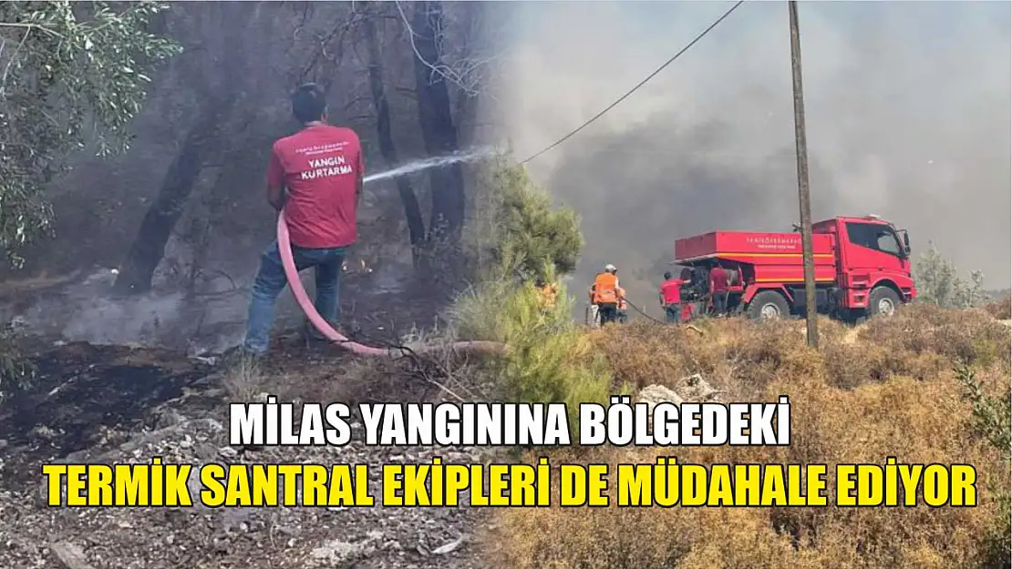 Milas yangınına bölgedeki Termik Santral ekipleri de müdahale ediyor