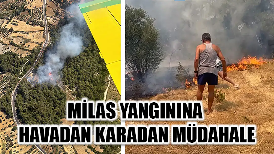 Milas Yangınına Havadan Karadan Müdahale