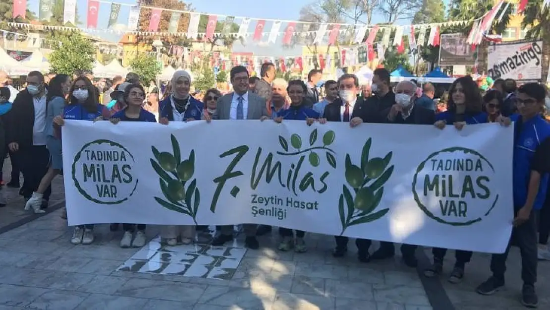 Milas Zeytin Hasat Şenliği başladı