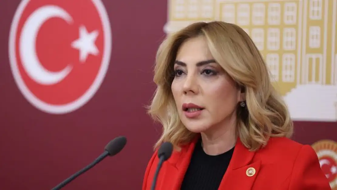 Milletvekili Gökcan: 'Önce ruhsatı veriyorlar, bakanlığın yazısı arkadan geliyor!!!'