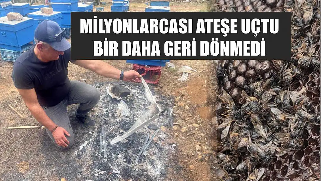 Milyonlarcası ateşe uçtu bir daha geri dönmedi