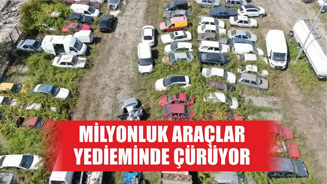 Milyonluk araçlar yedieminde çürüyor