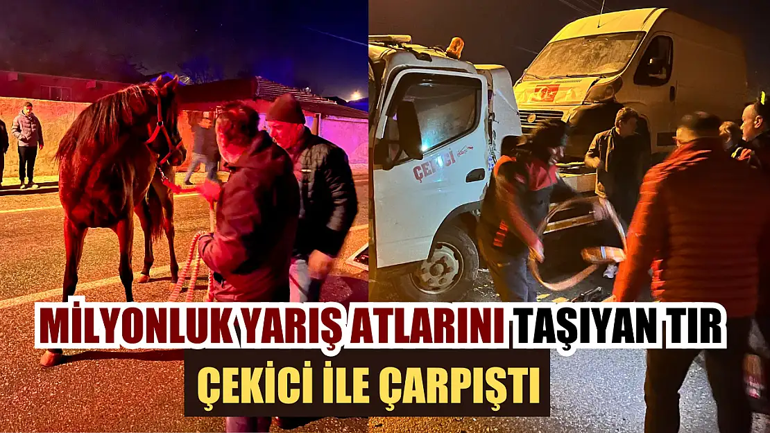 Milyonluk yarış atlarını taşıyan tır, çekici ile çarpıştı