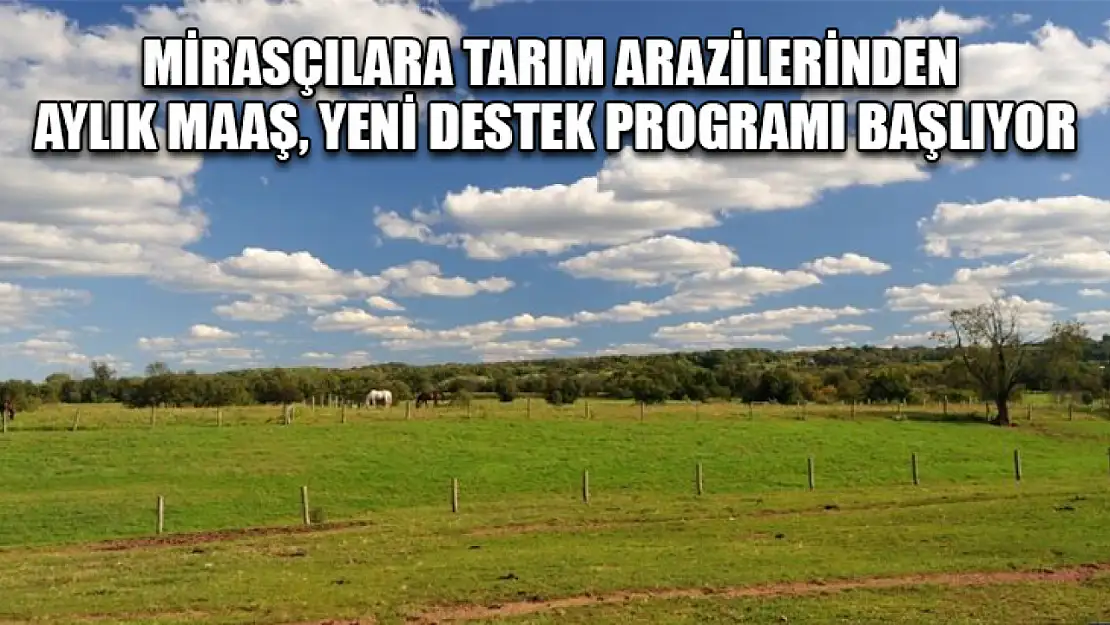 Mirasçılara Tarım Arazilerinden Aylık Maaş, Yeni Destek Programı Başlıyor