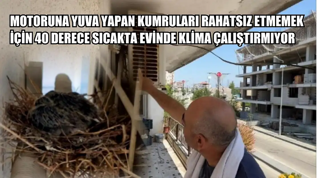 Motoruna yuva yapan kumruları rahatsız etmemek için 40 derece sıcakta evinde klima çalıştırmıyor