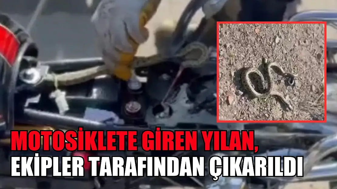 Motosiklete giren yılan, ekipler tarafından çıkarıldı