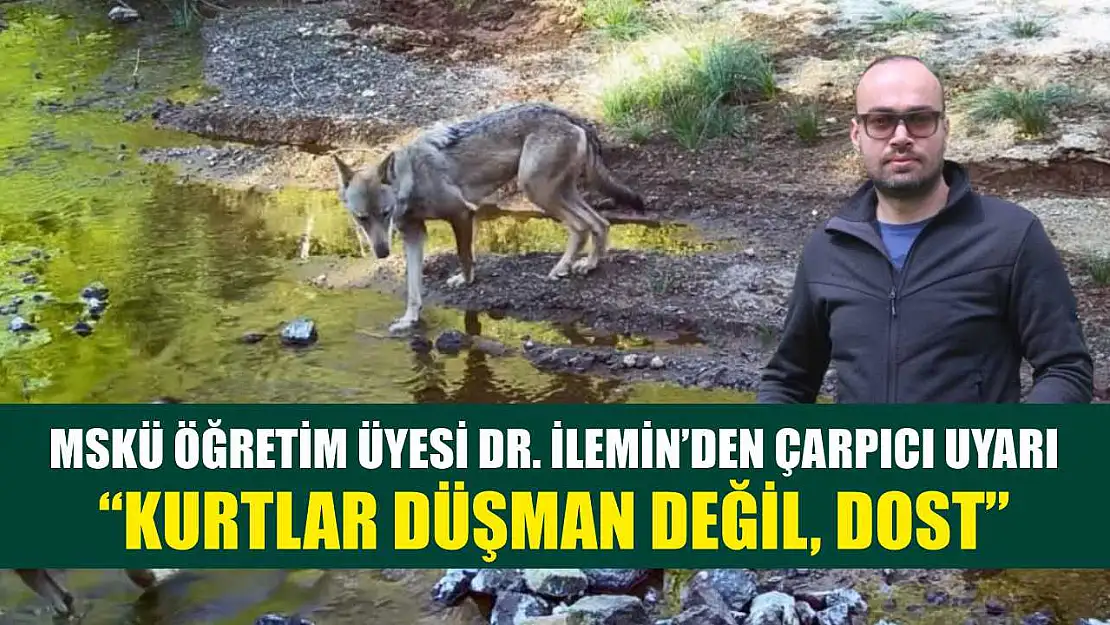 MSKÜ Öğretim Üyesi Dr. İlemin'den çarpıcı uyarı: 'Kurtlar düşman değil, dost'
