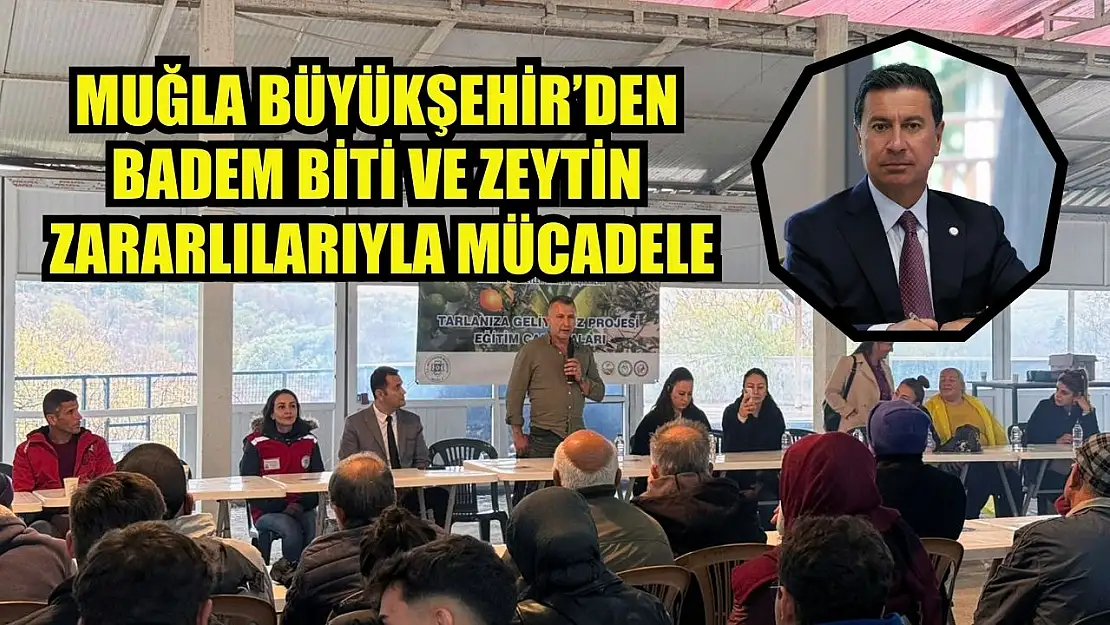 Muğla Büyükşehir'den badem biti ve zeytin zararlılarıyla mücadele