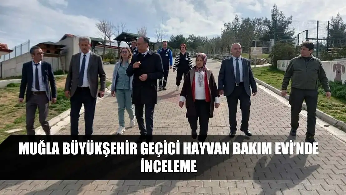 Muğla Büyükşehir Geçici Hayvan Bakım Evi'nde inceleme