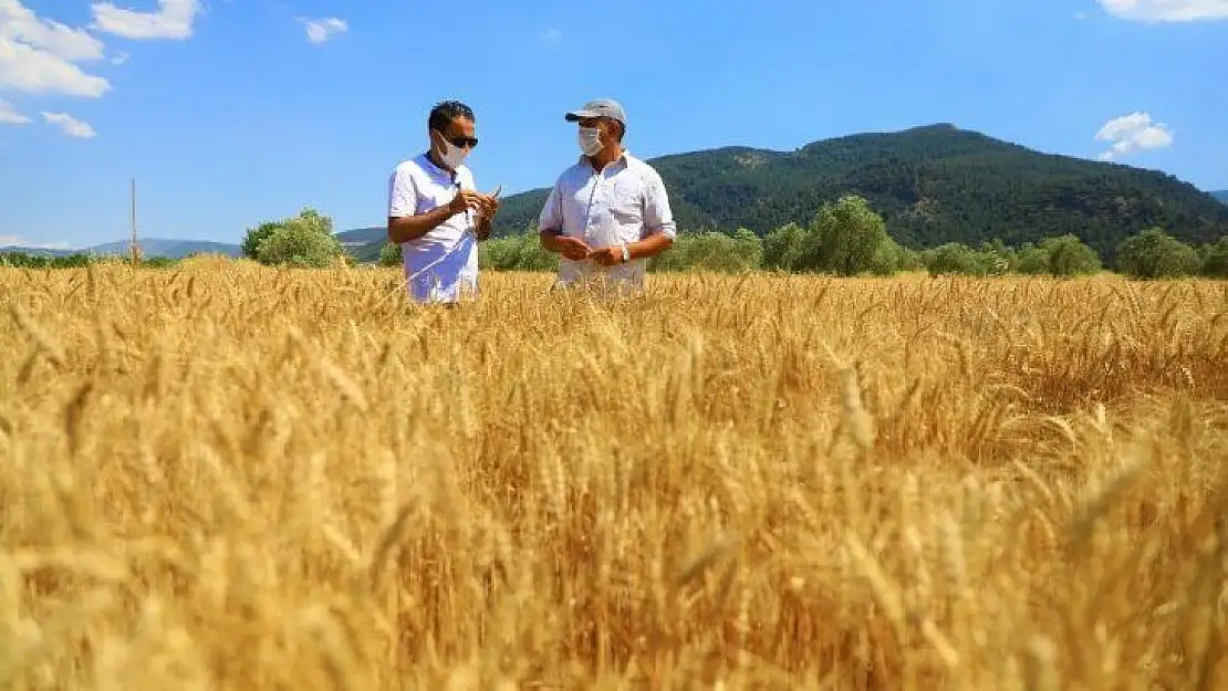 Muğla Büyükşehir'in çiftçilere desteği sürüyor