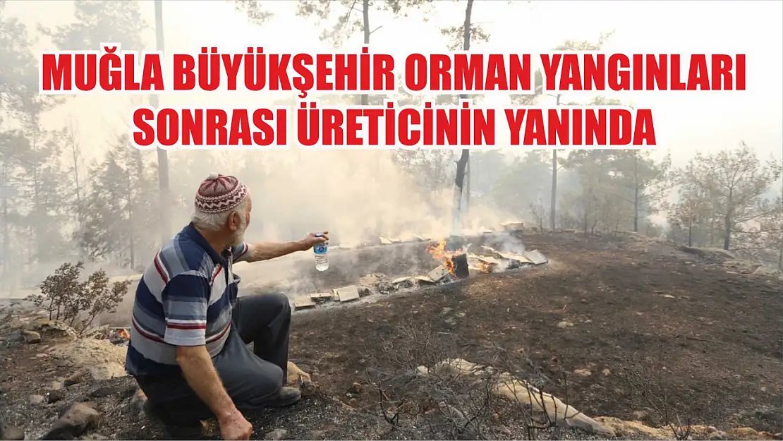 Muğla Büyükşehir Orman Yangınları Sonrası Üreticinin Yanında 