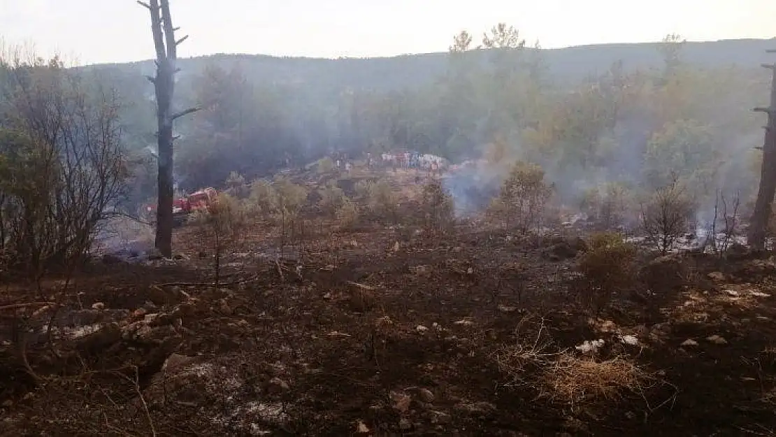 Muğla'da 'Yıldırım' yangınları başladı