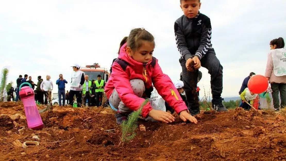 Muğla'da 200 bin fidan toprakla buluştu